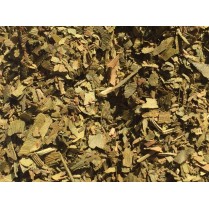 Ginkgo biloba 100γρ ΒΟΤΑΝΑ