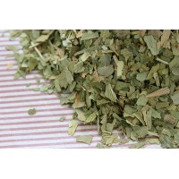 Ginkgo biloba 100γρ ΒΟΤΑΝΑ